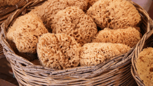 sponges